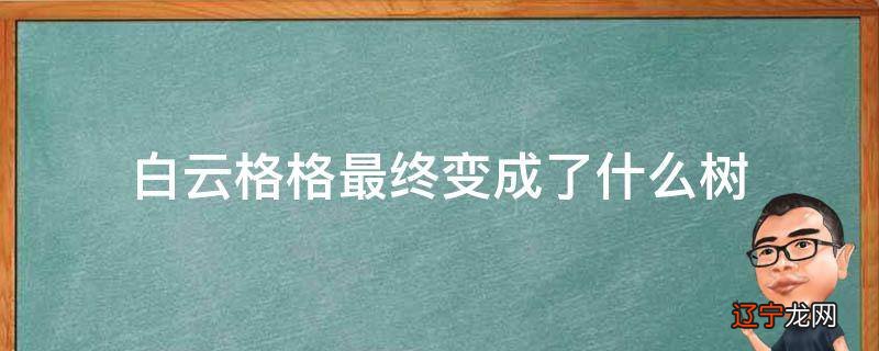 白云格格最终变成了什么树