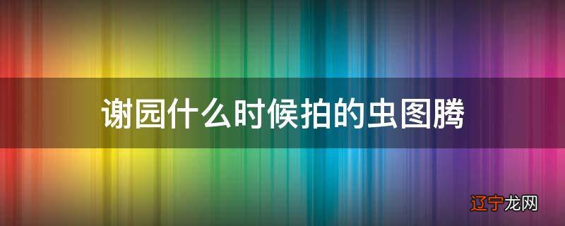 谢园什么时候拍的虫图腾