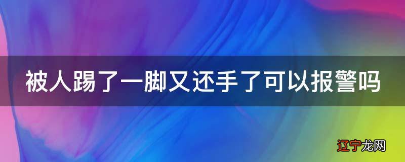 被人踢了一脚又还手了可以报警吗