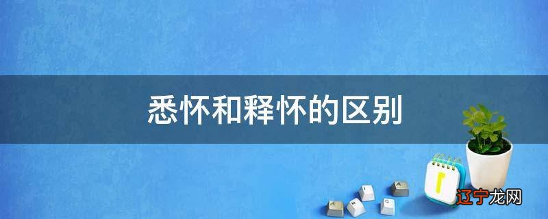 悉怀和释怀的区别
