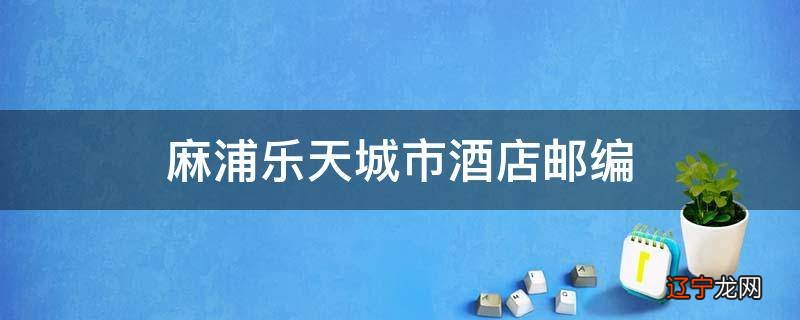 麻浦乐天城市酒店邮编