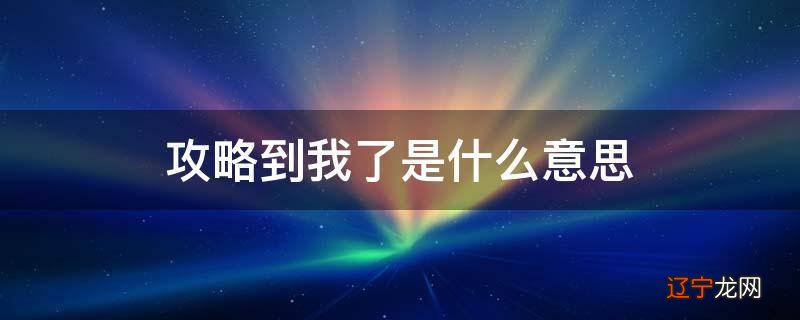 攻略到我了是什么意思