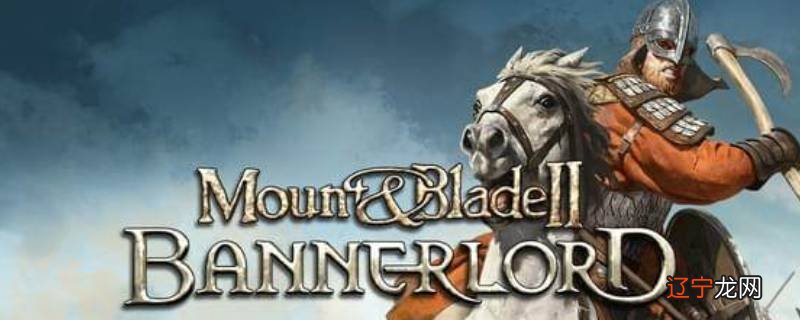 骑马与砍杀无双三国什么带兵多