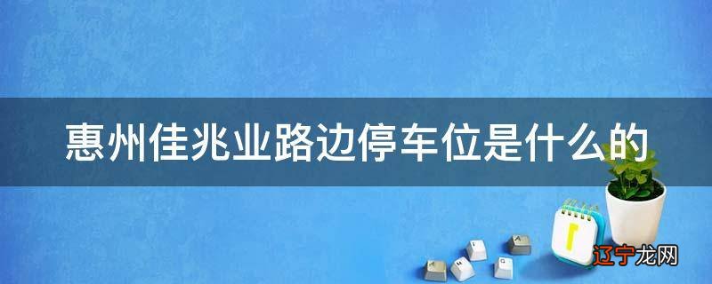 惠州佳兆业路边停车位是什么的
